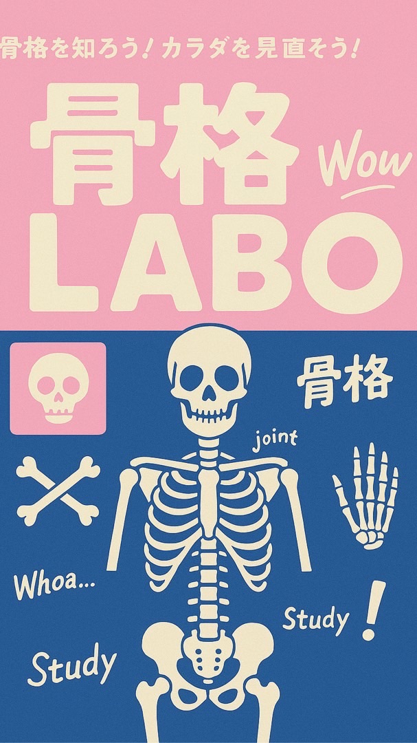 骨格LABO