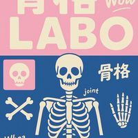 骨格LABO