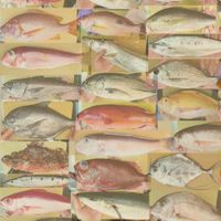 在家做生魚片頻道會員
