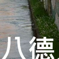 我是八德人