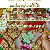 ค้าขายอะไรก็ได้ทั่วทุกภาค