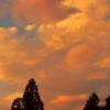 夕焼け小焼けはまたハント⁉️ n番煎じの全緩也〜‼️‼️