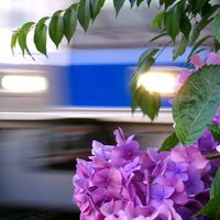 学生大歓迎！鉄道好き集まれ〜！【NHG】