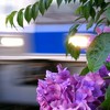 学生大歓迎！鉄道好き集まれ〜！【NHG】