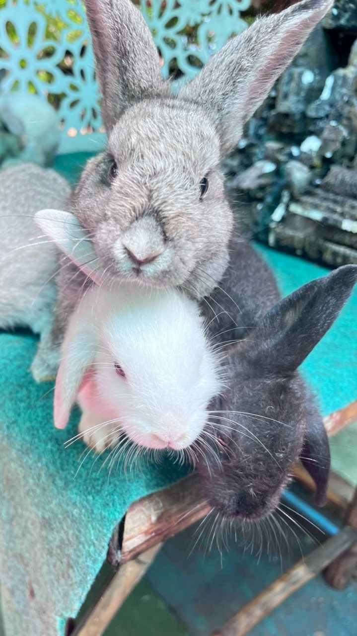 คุยคนเดียว