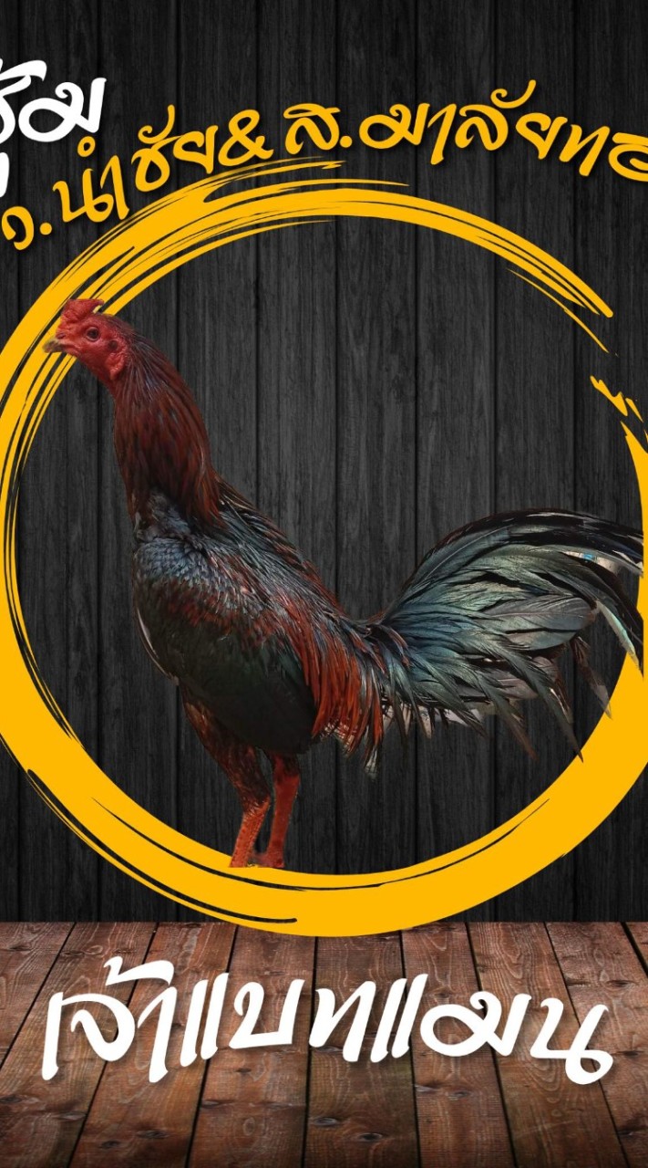 ซื้อขายไก่ชน ส.มาลัยทอง อุตรดิตถ์