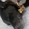 114高大新生群（非學生會版本）