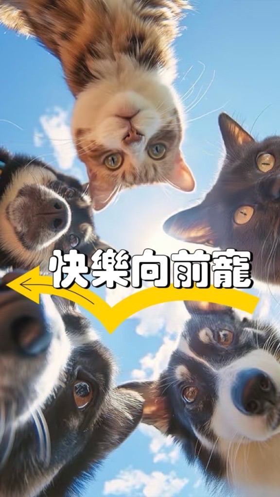快樂向前寵
