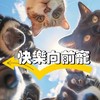 快樂向前寵