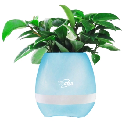 蛋殼外型簡潔是盆栽也是藍芽喇叭 藍牙3.0技術 智慧功能可彈奏歌曲 50mm重低音喇叭音域廣不失真 七彩夜燈模式