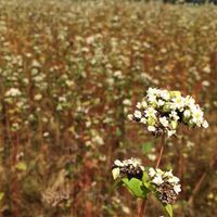 2026年8月出産予定🫶