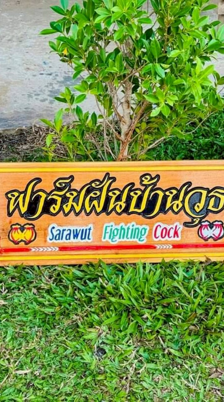 ฟาร์มฝันบ้านวุธ เเปดริัว