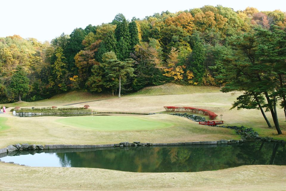 Recent Media ニューセントラルゴルフ倶楽部