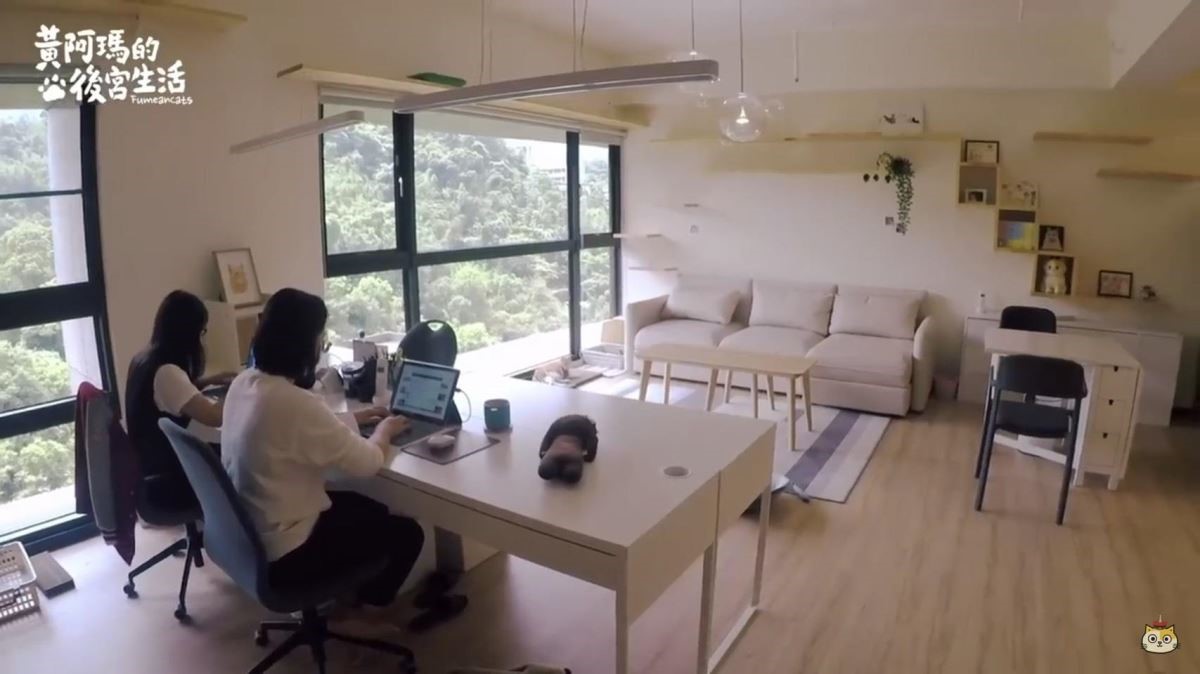 鋪上木地板的空間，帶有療癒北歐風，與舊後宮有著同樣觸感，降低貓咪適應的時間，也能保護關節。