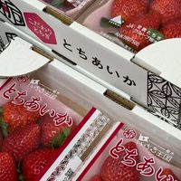 秀秀阿美代理群