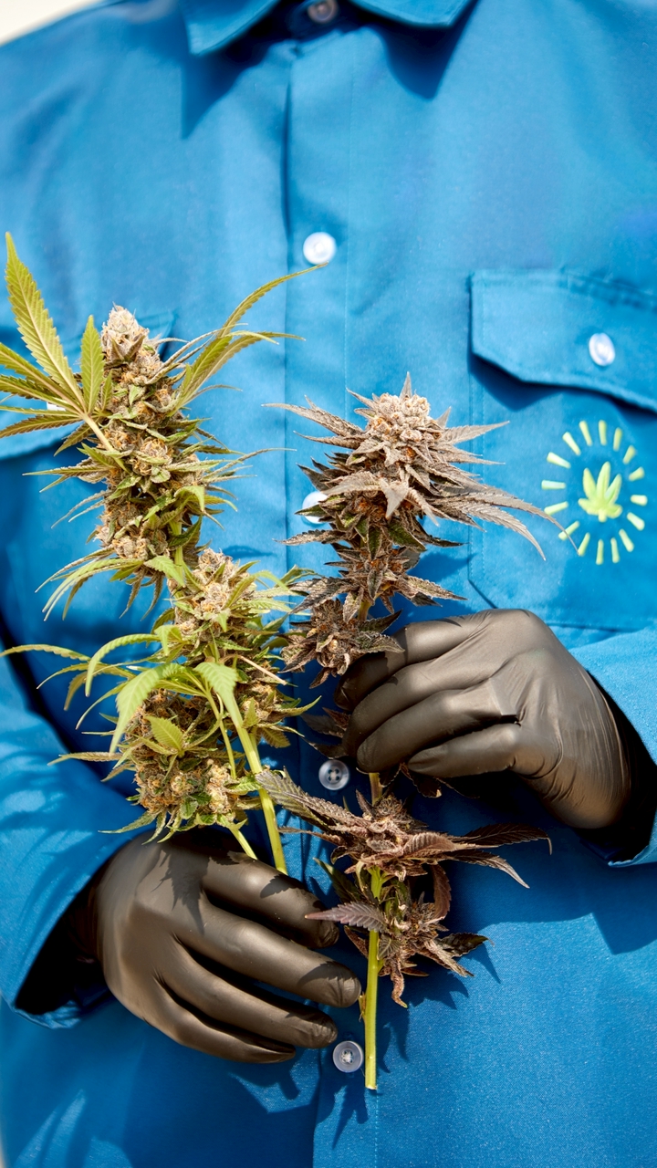 Solar Farm Wholesale โซล่าฟาร์มขายส่ง