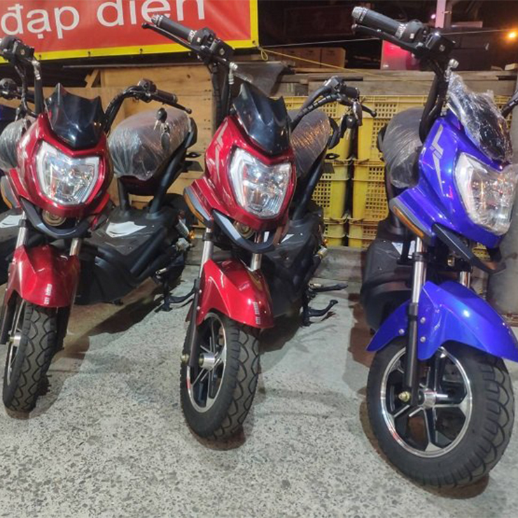  戰警 電動自行車  800W 大馬力 碟煞 電動自行車 電動車 電動機車