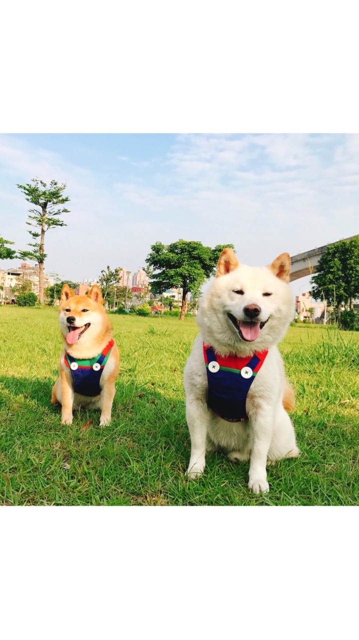 Tbaby 甜寶貝