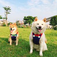 Tbaby 甜寶貝