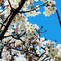 💐楽しく、明るく、皆でワイワイとおしゃべりしよう☺️