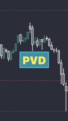 Baac PVD Academy