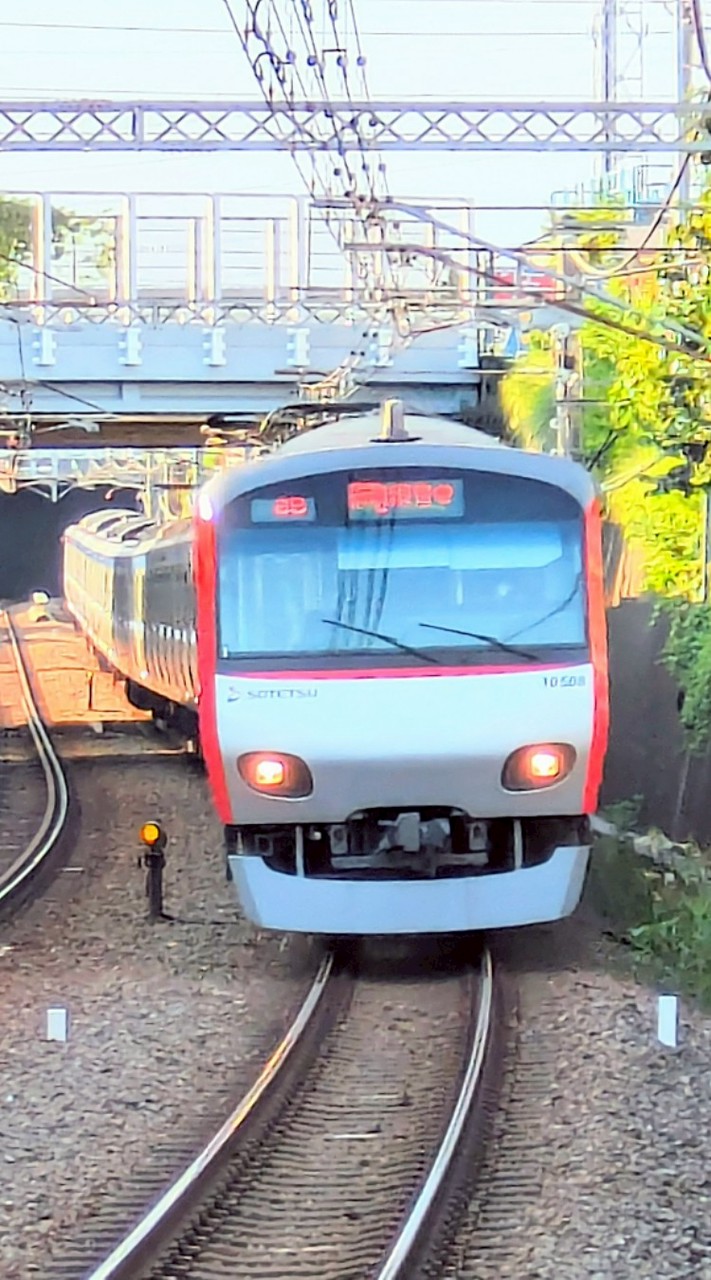 相鉄線とかそうにゃんとか直通先の鉄道会社好きな人話そ〜
