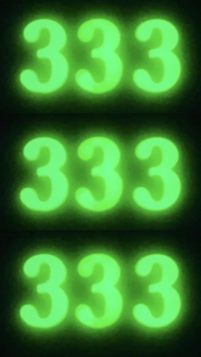 CPM　333警察