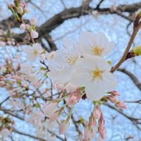 町田0歳バブ眺める会