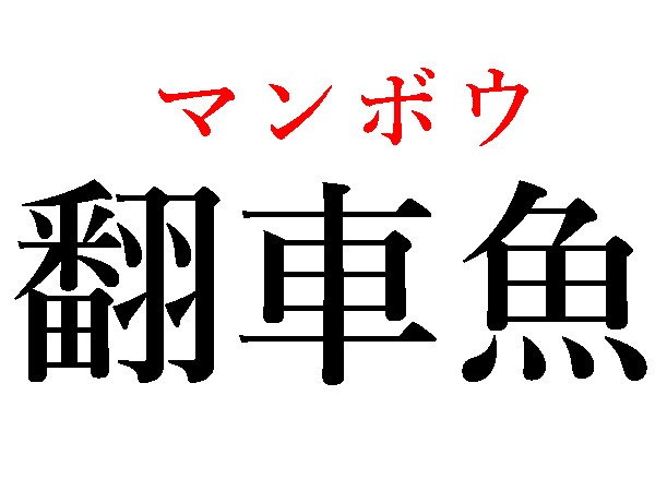 難読漢字 知らずに食べてる 松魚 公魚の読み方は