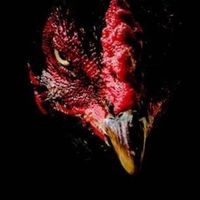เซียนไก่.คอม