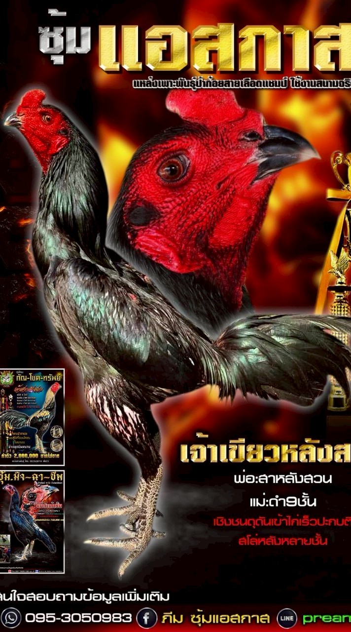 ภีม กาฬสินธุ์