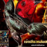 ภีม กาฬสินธุ์