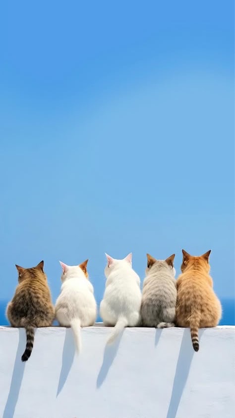 🌈30代から❣️ヒマな大人の雑談＆恋バナ🫶