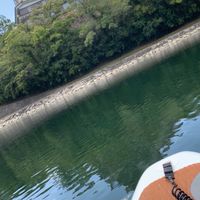 9/16月㊗️BBQ & SUP せせらぎ広場(河原)中消防署🅿️🚹🚺有