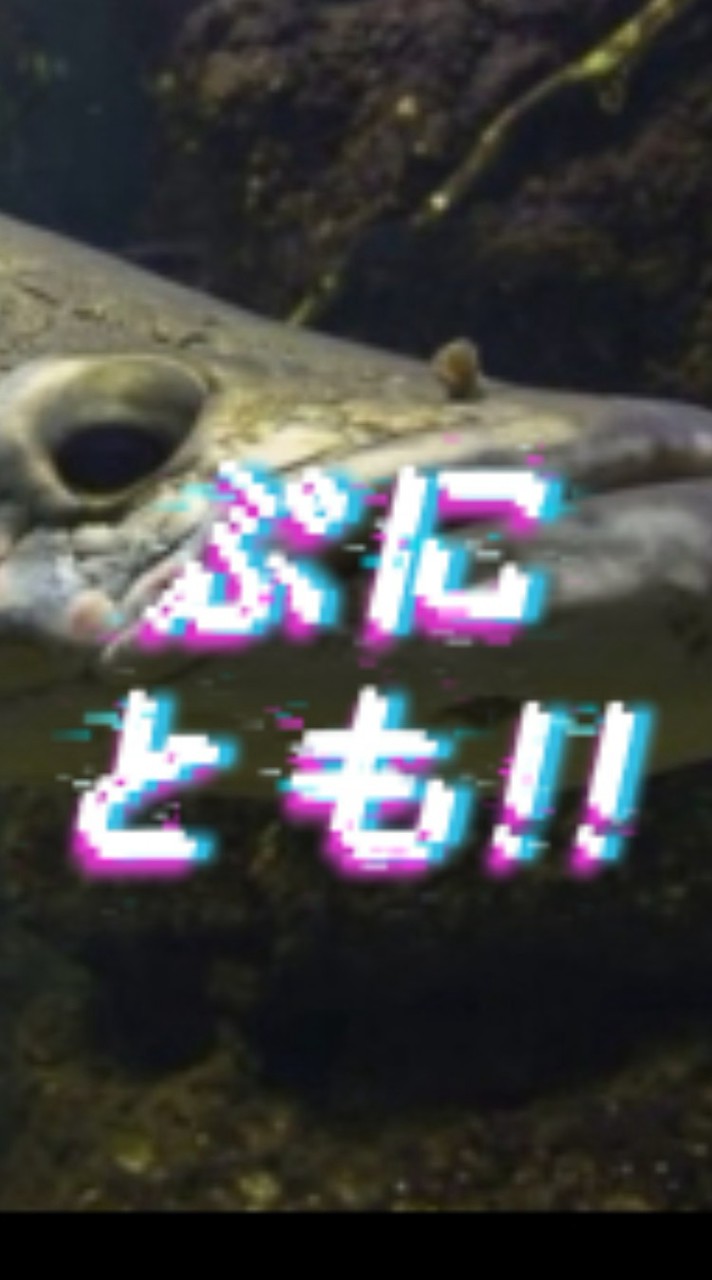 新！ぷにとも