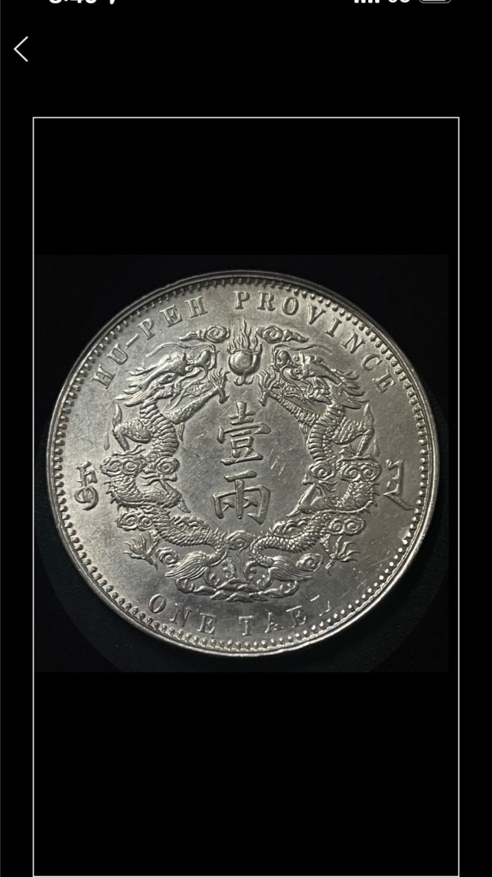 ｛龍泉｝台灣專拍