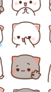 🐱喵喵日本關西代購