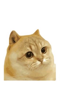 CATGE Coin ทาสแมวแลกเปลี่ยนความรู้
