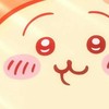 愛情ってゆーか、ただ君が欲しい ✶ 全緩也ハント