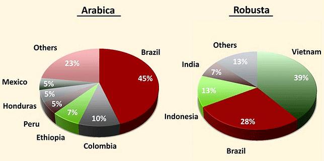 Bukan Cuma Beda Nama! Ini 7 Perbedaan Kopi Robusta Dan Arabika yang Pasti Lu Gak Tau, Yang Ngaku Pecinta Kopi Kudu Tau!