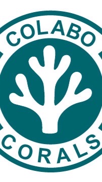 可樂寶珊瑚 COLABO CORAL