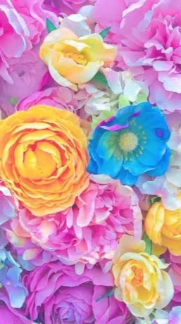50代からの、ゆっくりトークな愉快な仲間達