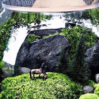 Terrarium lover