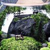 Terrarium lover