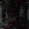 ┊   𝓰𝓲𝓶𝓶𝓮  𝓽𝓱𝓪𝓽   ＿   ❤︎