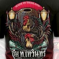 พัฒนาไก่ชนซุ้มเทวินทร์ฟาร์ม