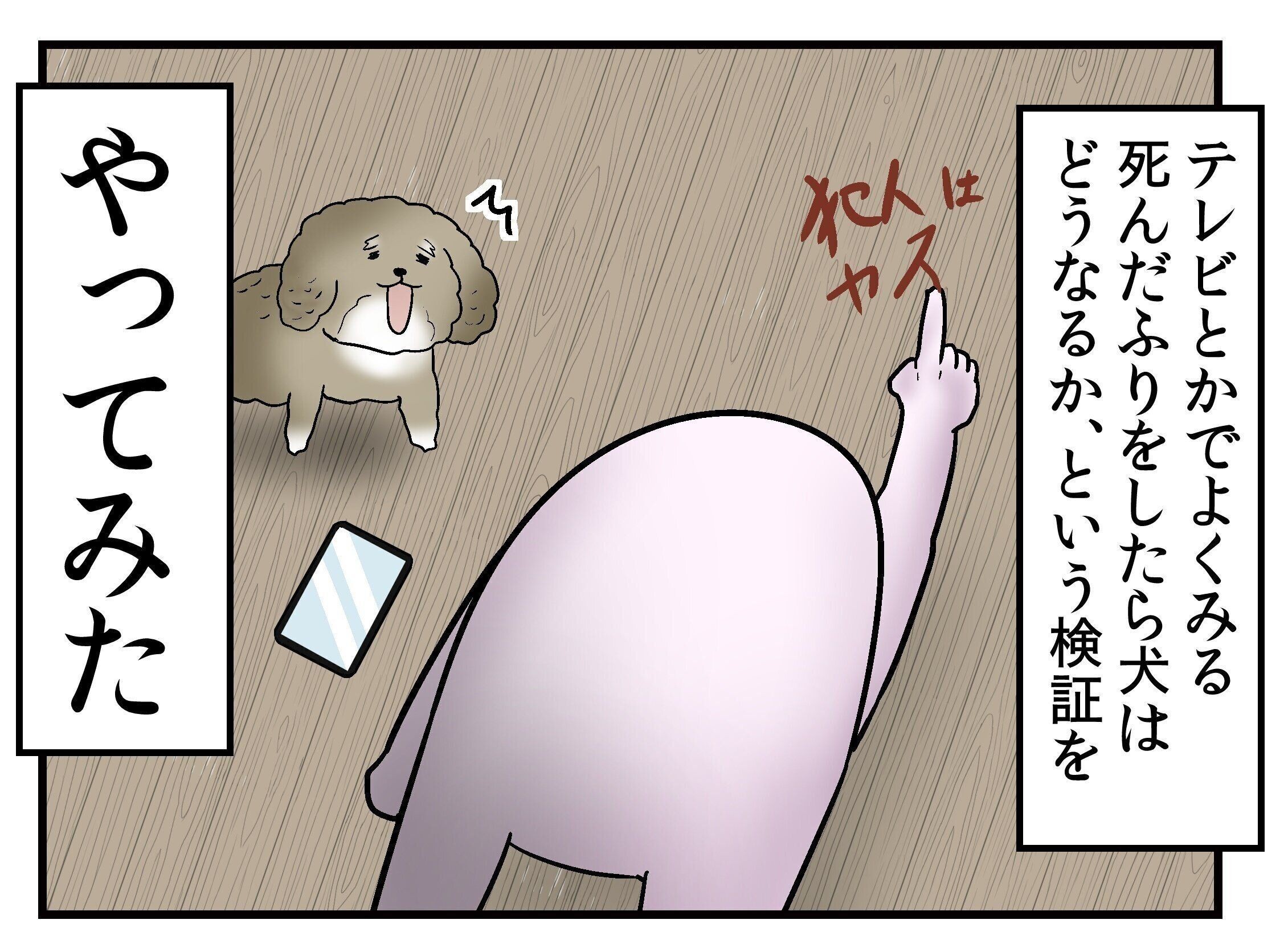 犬と一緒に寝ることをおすすめできない理由とは