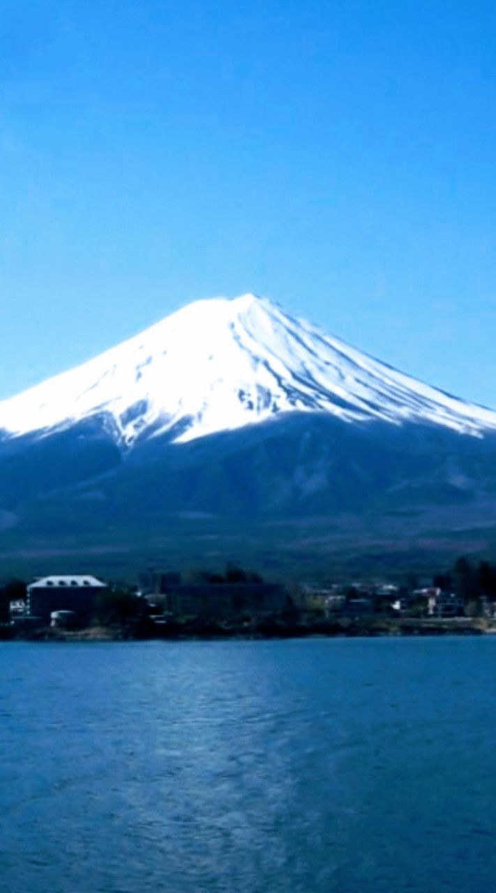関東⛩️ 御朱印巡り 50代～