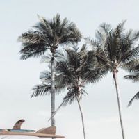 🍹🥂40代ꕀ⋆雑談＆𝐥𝐢𝐯𝐞 𝐭𝐚𝐥𝐤ꧦ𛰙᭜𖫴𖫰𖫱𖫳𖫲𖫲𖫳𖫴𖫰𖫱꛰ ᭜𖫴𖫰𖫱𖫳𖫲𖫲𖫳𖫴𖫰𖫱꛰ީᩝ𛰚ഒ·⸌̟͂̋⸍̑⸜̑⸝͂ ໋