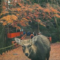 写真部！